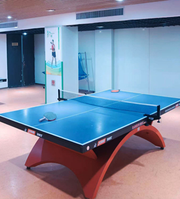Table Tennis